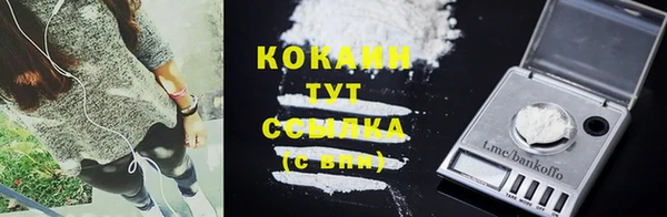 дживик Аркадак