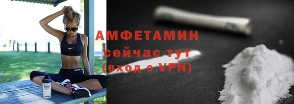 молекула духа Арсеньев