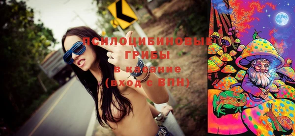 молекула духа Арсеньев