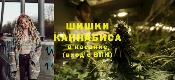 молекула духа Арсеньев