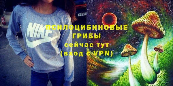 молекула духа Арсеньев