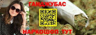 мдпв Бийск
