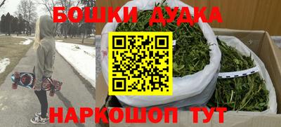 мдпв Бийск