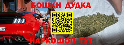 мдпв Бийск