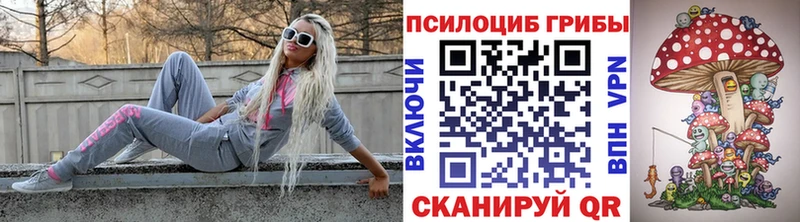 Галлюциногенные грибы Psilocybe  Губкин 
