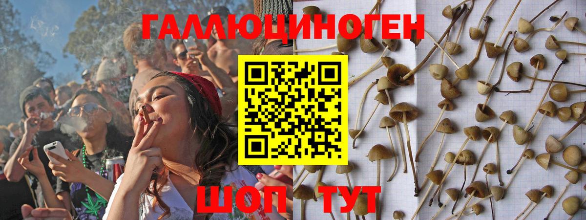 Галлюциногенные грибы Magic Shrooms  Вход с VPN  Губкин  как найти закладки  Галлюциногенные грибы Psilocybine cubensis 